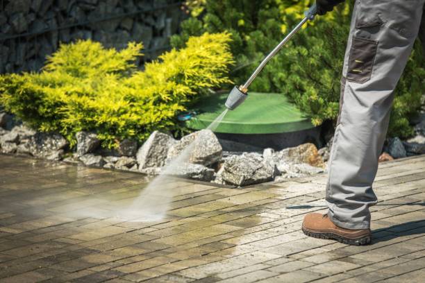 Best Boat and Dock Cleaning  in Oak Grove, AL